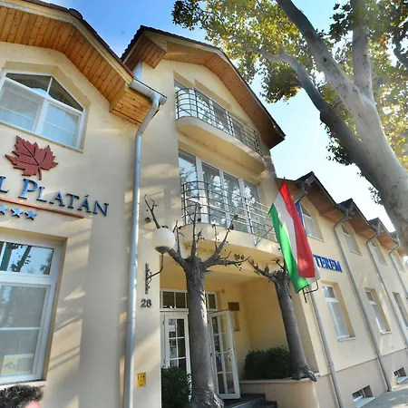 호텔 Platan 3*