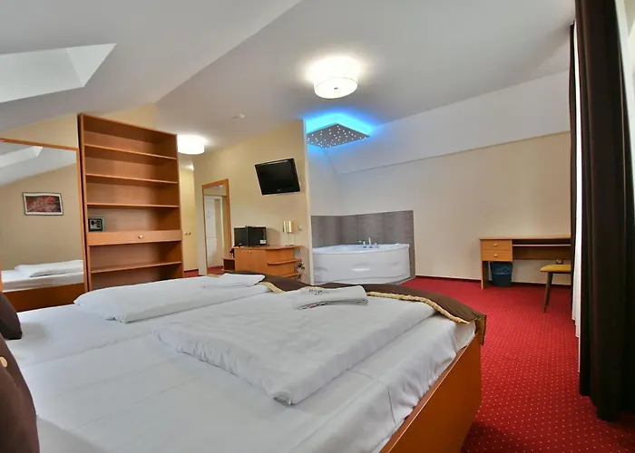 普兰滕酒店 3* Székesfehérvár