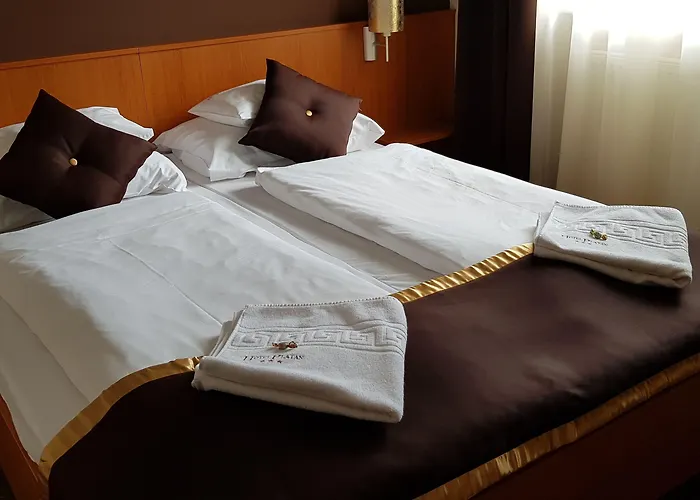 酒店 普兰滕酒店 3*